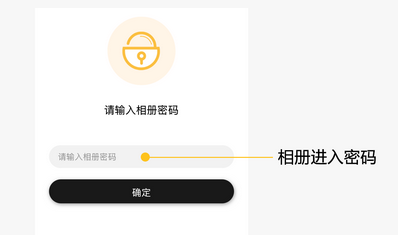 密码访问（示意）