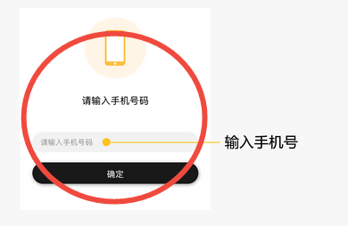 手机号访问（示意）